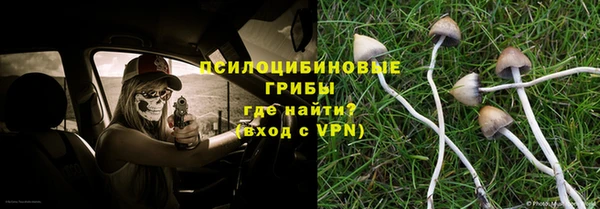 МДПВ Бронницы